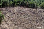 Clear-cutting in the Amazon rainforest as viewed from above by airplane