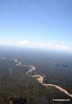 Muddy rainforest river