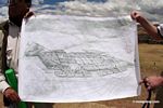 Drawing showing puma-like shape of Ollantaytambo