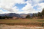 Andean farmlands with snow-capped peaks in background