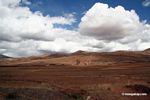 Andean farmland
