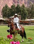 Peruvian cowboy [cuzco-Urubamba_1018_0600]