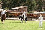 Rhett on horse [cuzco-Urubamba_1018_0607]