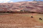 Farmers working countryside near Cuzco