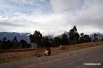 Children along roadside between Cuzco and the Urubamba vallet