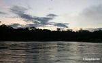 Sunrise over rainforest along the Rio Tambopata