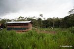 Farmhouse in the rain forest
