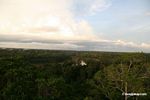 Late afternoon in the Amazon rain forest with the Tambopata river in the background