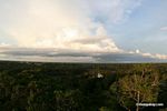 Late afternoon in the Amazon rain forest with the Tambopata river in the background