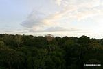 Amazon sunset over rainforest canopy