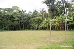Jungle soccer field