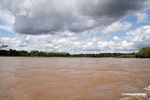 Muddy waters of the Rio Tambopata