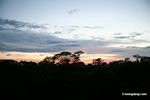 Sunset over rainforest canopy in Peru
