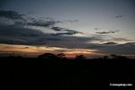 Sunset over rainforest canopy in Peru