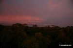 Sunrise over the Amazon rainforest [tambopata-Tambopata_1030_5023]