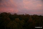 Sunrise over the Amazon rainforest