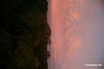 Sunrise over the Amazon rainforest [tambopata-Tambopata_1030_5032]