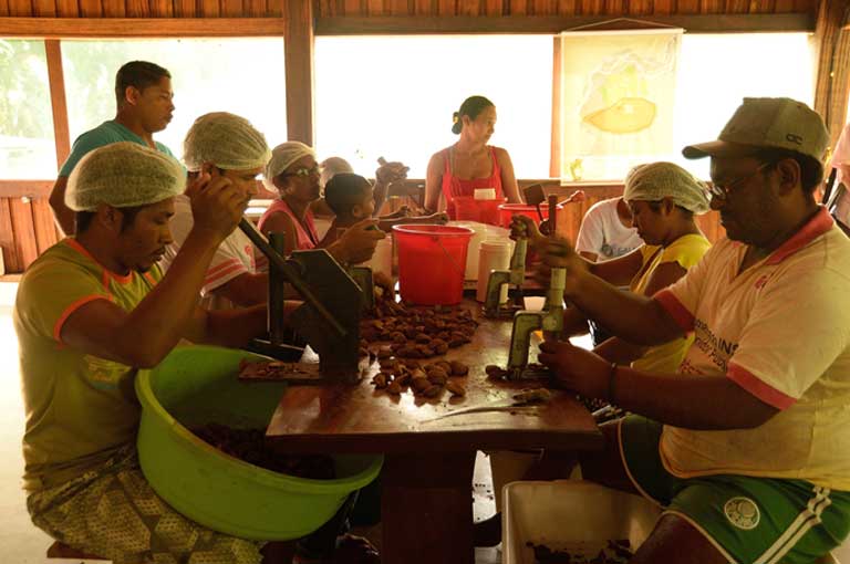 Family workers preparing Brazil nuts at their mini-factory within the Iriri River Extractive Reserve. Photo by Natalia Guerrero