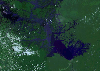 Satellite image of the Turucui dam and associated deforestation in Brazil. (Photo courtesy of DigitalEarth)