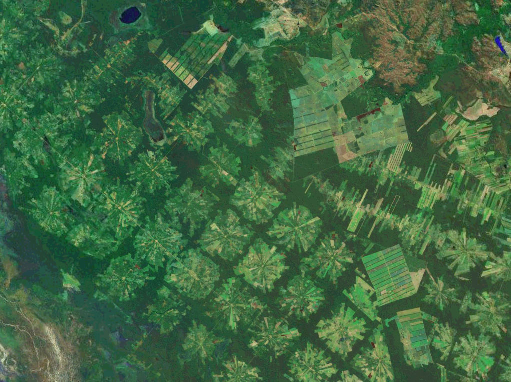 Satellite image showing agricultural plots in Brazil and forest remaining in between them.