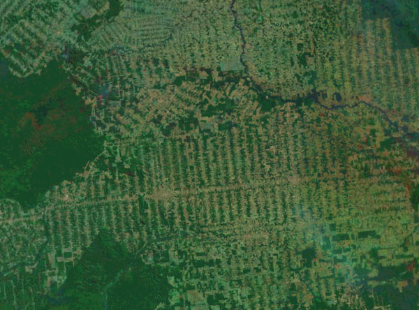 Landsat image showing deforestation in the Brazilian Amazon