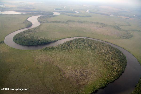 Meandering river in the lowlands of Gabon