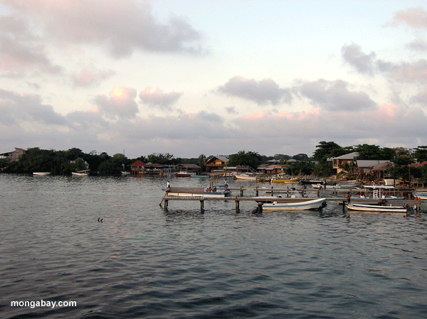  The Honduran island of Roatan. Photo by: Rhett A. Butler..