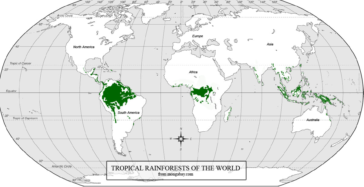 World Map Tropical Rainforests - Allyce Maitilde