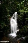 Waterfall in Bwindi