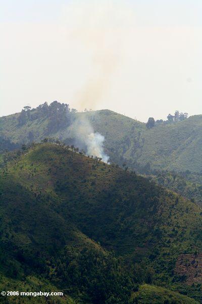 Fire burning just outside Bwindi forest park