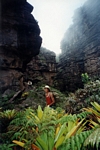 Pem�n guide in an epiphyte garden near the summit of Auyantepui