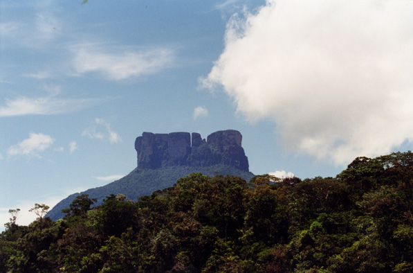 Tepui, or flat-topped mountain, in Venezuela. Photo by: Rhett A. Butler.