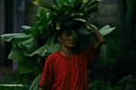 Elderly Balinese woman carrying a stack of leaves on her head (Ubud, Bali) 