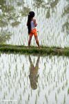 Girl in a rice field (Ubud, Bali) 