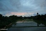 Early evening over a rice field (Ubud, Bali) 