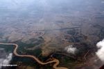 Aerial view of rice paddies where mangrove forests oncee grew (Java)