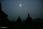 Silhouette of stupas at Boboudur in early morning (Java)