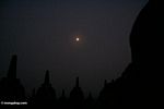 Silhouette of stupas at Boboudur with moon setting in background (Java)