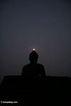 Silhouetted Boboudur buddha in early morning (Java)