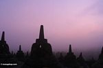 Stupas at sunrise (Java)