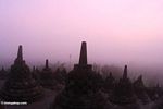 Stupas at daybreak (Java)