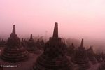 Stupas at foggy daybreak at Borobudur (Java)