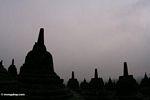 Darkened Stupas at Borobudur (Java)