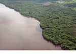 Mangrove-lined coast of southern Borneo (Kalimantan; Borneo (Indonesian Borneo))