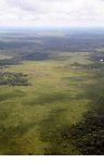 Airplane view of deforested areas in Borneo (Kalimantan; Borneo (Indonesian Borneo))