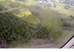 View from airplane of forest clearing around Pangkalanbun (Kalimantan, Borneo (Indonesian Borneo)) 