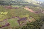 Overhead view of forest clearing for agriculture in Borneo (Kalimantan; Borneo (Indonesian Borneo))