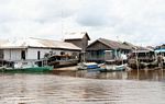 Boats and houses of Kumai, Kalimantan (Kalimantan, Borneo (Indonesian Borneo)) 