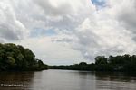 Mouth of the Seikonyer River as viewed from the Kumai river (Kalimantan, Borneo (Indonesian Borneo)) 