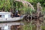 Man fishing on the Seikonyer River in Kalimantan (Kalimantan, Borneo (Indonesian Borneo)) 
